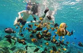 SNORKELING WITH MANTA