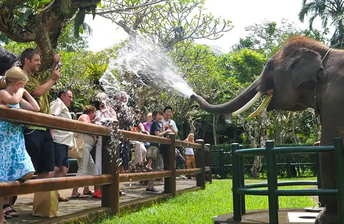 Elephant Safari Park Lodge Bali