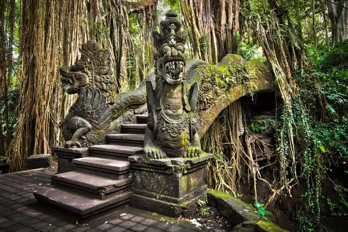 Monkey Forest