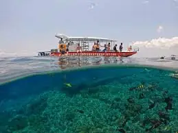 SNORKELING WITH MANTA